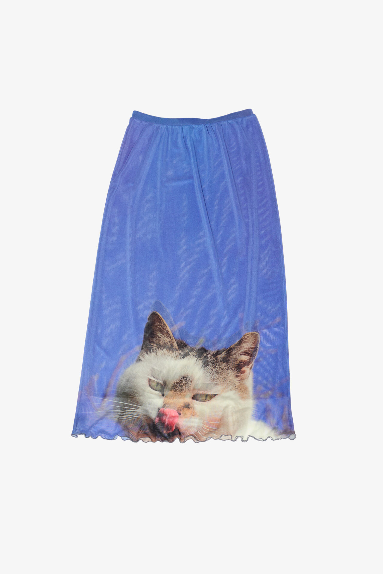 marios mesh skirt cat photo print by Sara Scanderebech