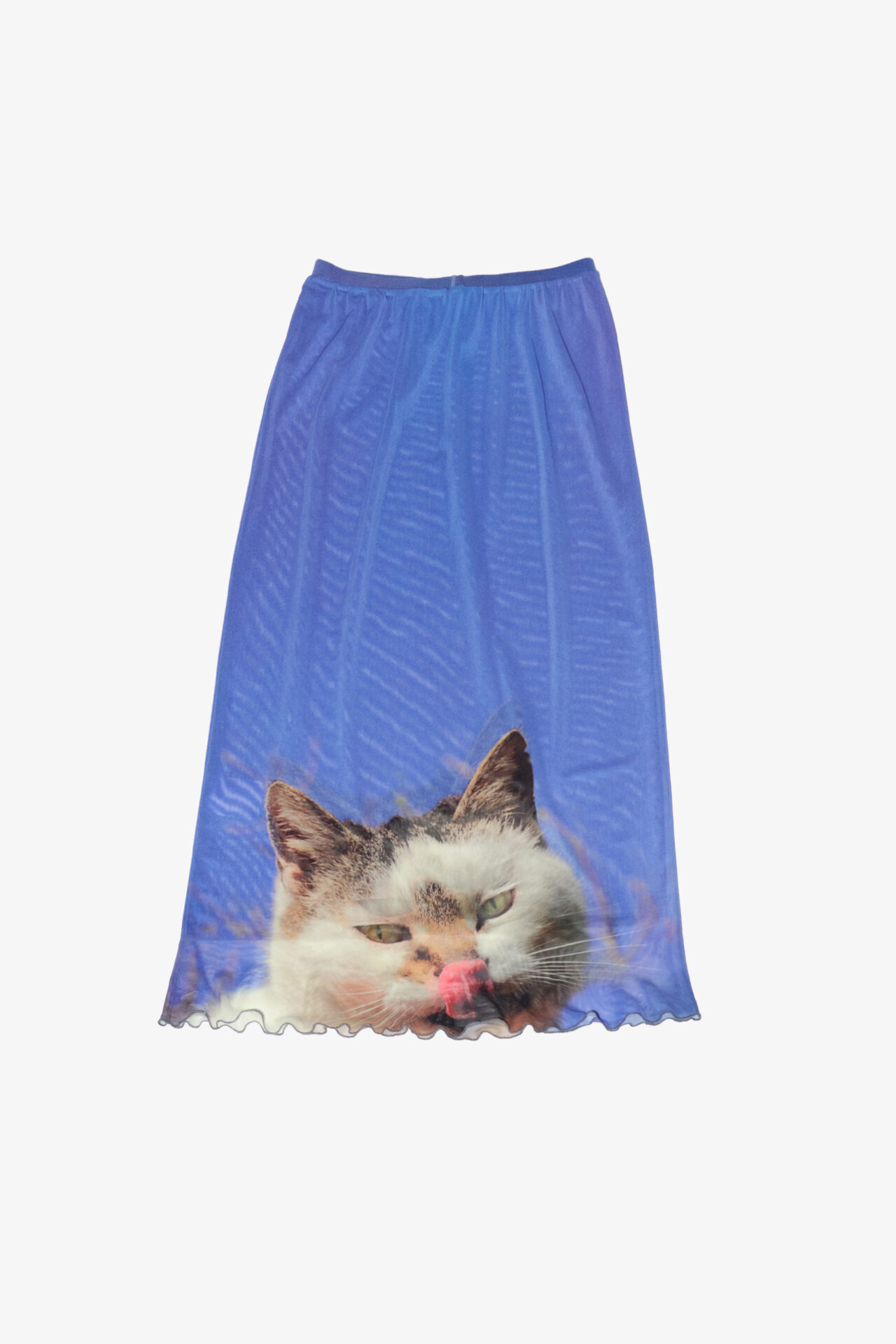 marios mesh skirt cat photo print by Sara Scanderebech