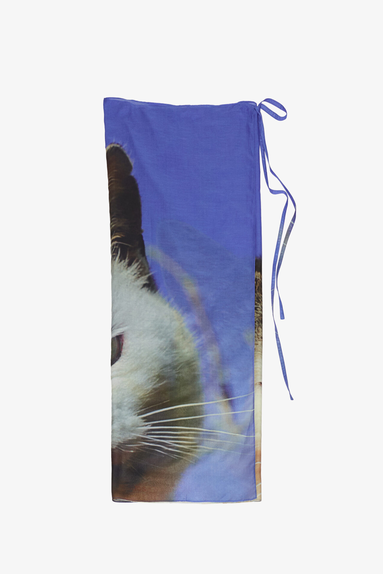 marios pareo cat photo print by Sara Scanderebech