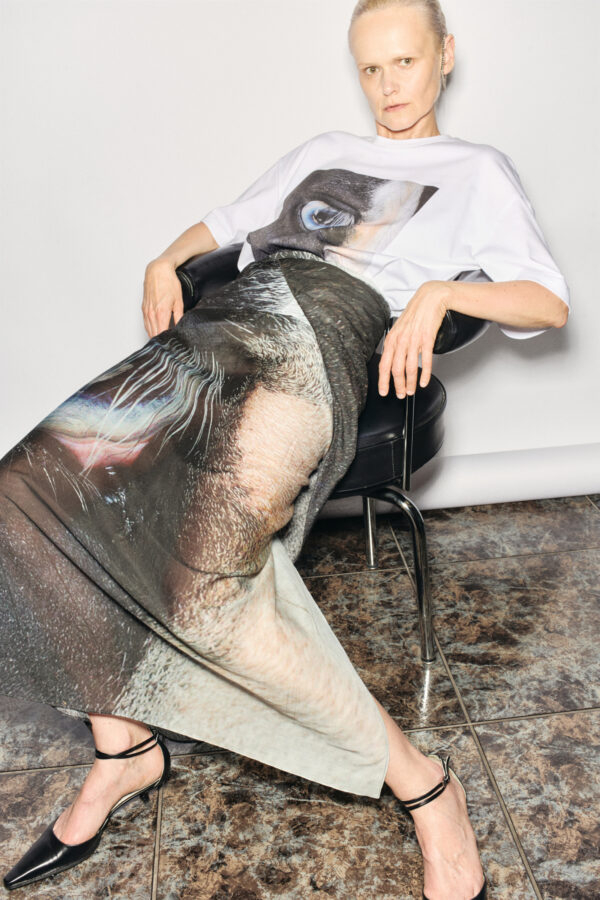 marios pareo horse photo print by Sara Scanderebech