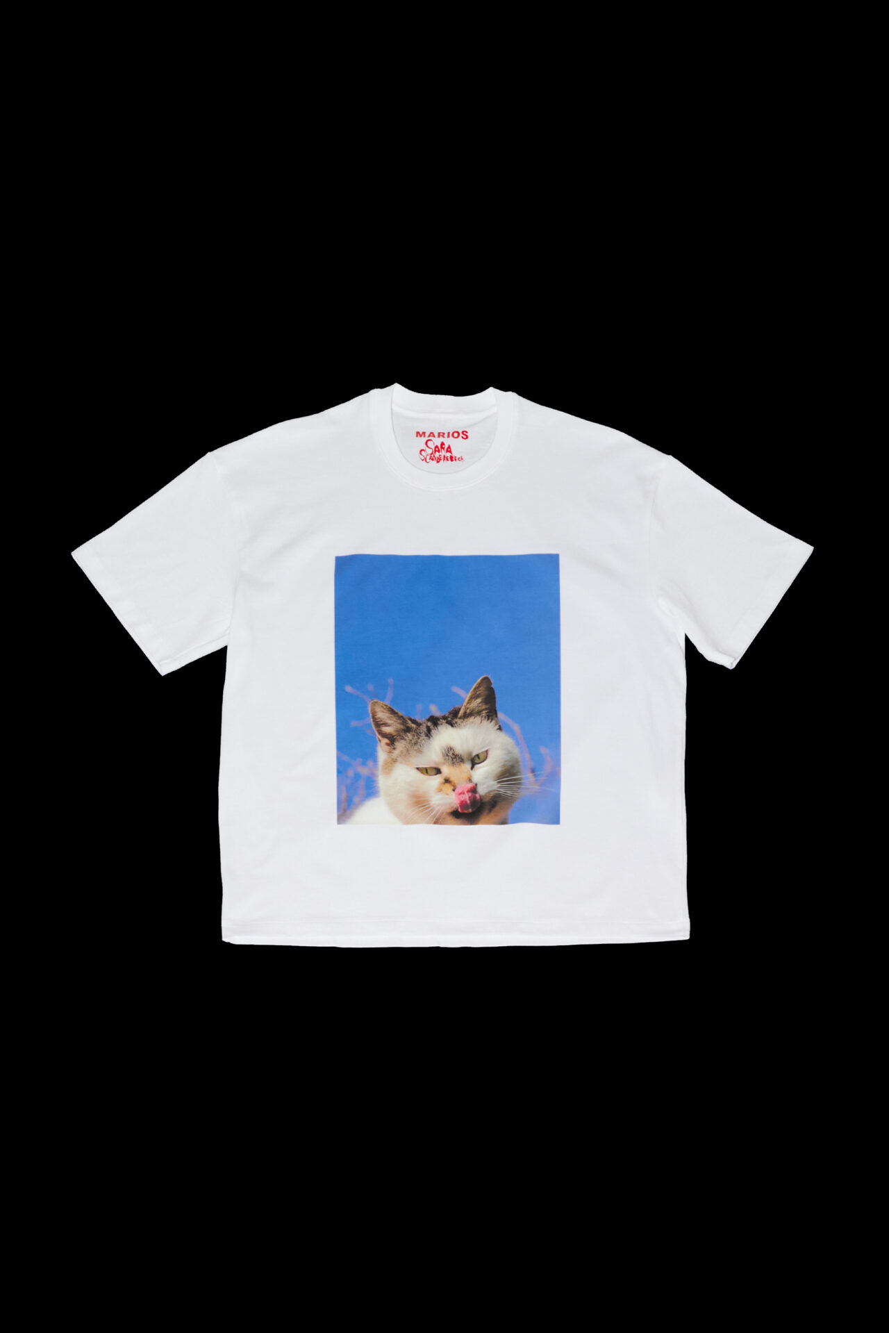 MARIOS cat print T-shirt in off-white cotton